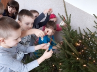 Strojnisia choinka