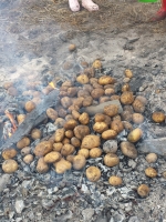 Święto Pieczonego Ziemniaka