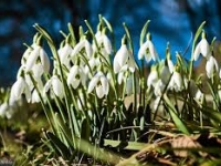 Wiersz i piosenka - Kwiecień