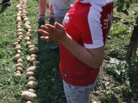 Witamy jesień