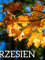 Wrzesień- Piosenka i wiersz