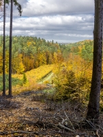 Wiersz i piosenka listopad