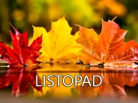 Piosenka i wiersz na XI