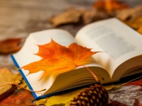 Listopad wiersz i piosenka