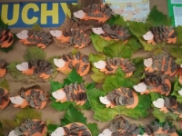 Przygotowania do zimy