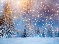 Grudzień- wiersz i piosenka