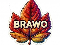 Luty - wiersz i piuosenka