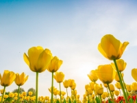 Wiersz i piosenka Marzec