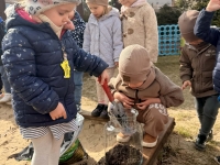 W wiosennym ogrodzie