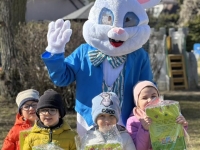 Wielkanocny zaj�czek