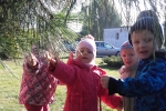 Kochamy nasze drzewa
